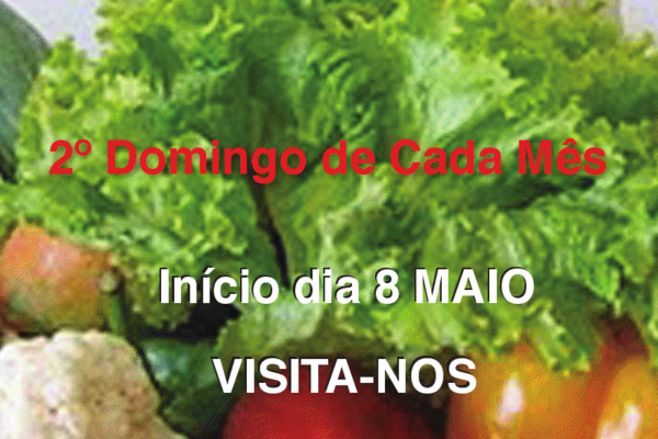 20110404163528666660