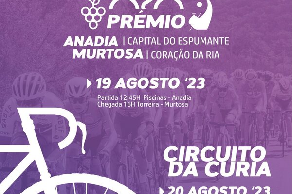 premio_anadia_insatra