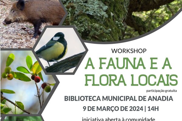 workshop_a_fauna_flora