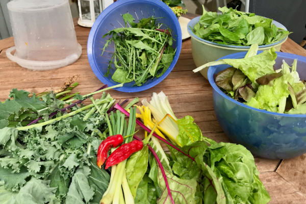 desperdicio_alimentar