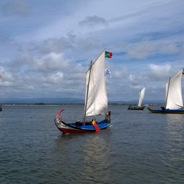 Regata de Moliceiros 2