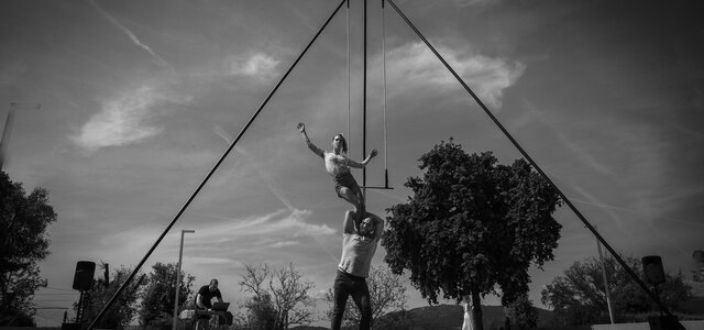 raiz_circocaotico_luis_vieira2