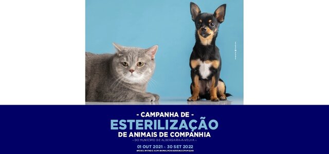 campanha_esterilizacao_2022_noticia