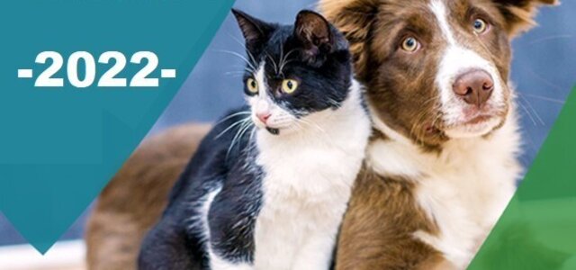 315055808_488607883301163_7487720295994753514_n