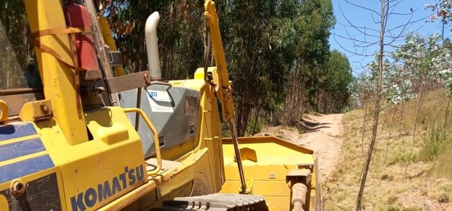 caminhos_florestais1__arquivo_