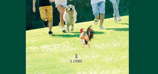 319108199_934394360863160_3947028894637418058_n