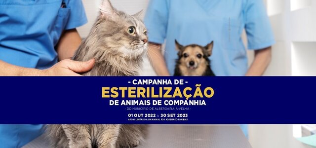 campanha_esterilizacao_2023_noticia