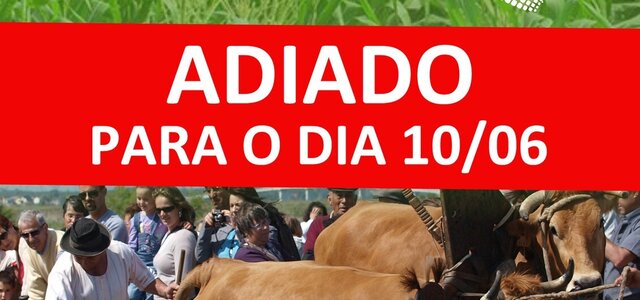 349788310_1339988593250562_4573123969946002242_n