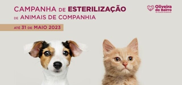 siteesterilizacao_2023