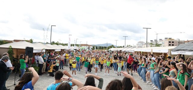 feira_ambiente_anadia_arquivo