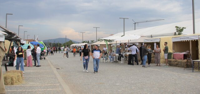 feira_ambiente_anadia_2023