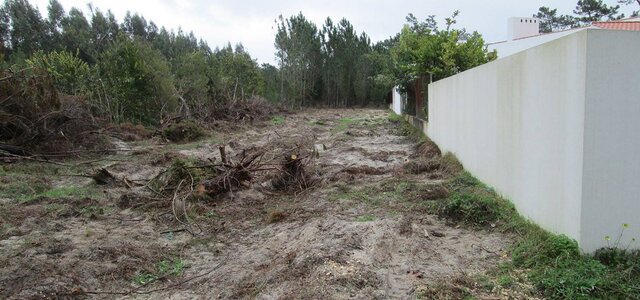 28872802_1371992792906651_8077320706100035584_o