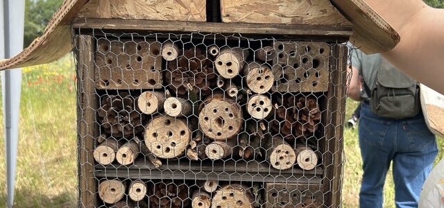 hotel_das_abelhas_finalizado