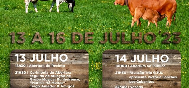 356813575_655327943288424_3706323329172173865_n