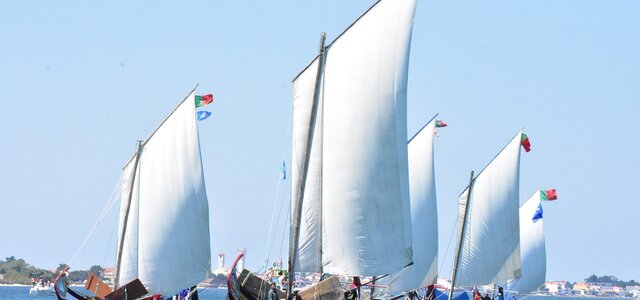 347562966_656054539882431_6969445887526818861_n