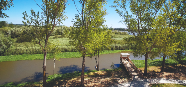 13_parque_de_requeixo_a01