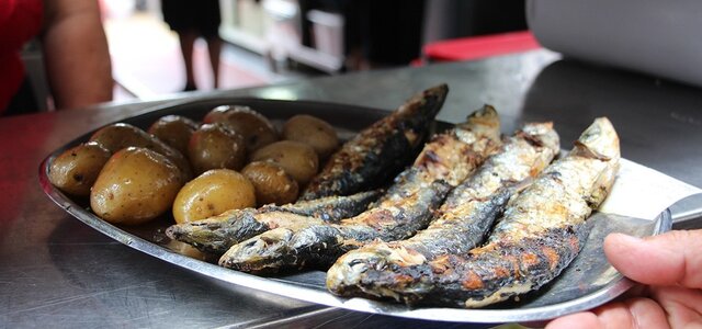 festival_da_sardinha_2023