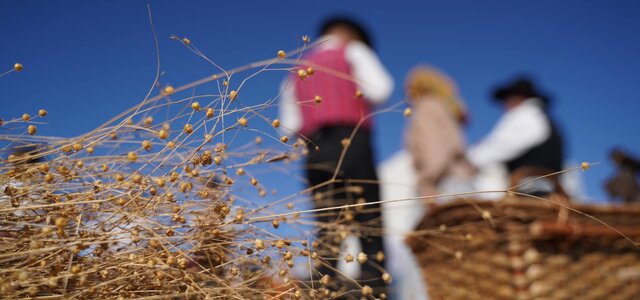 69645749_2102594113179845_3737884779006132224_n