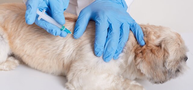 vacinacao_foto_freepik