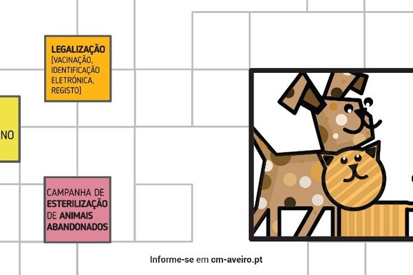 campanha_animaiscompanhia_site