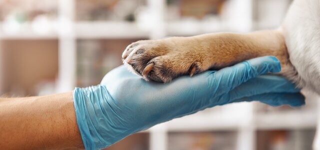 adobestock_260006693