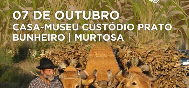 386644389_714115724076312_7174229257827816078_n