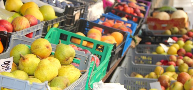 trabalho_de_campo_1_026