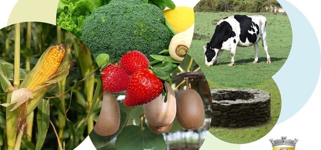 409741070_756627523158465_9065677983841549531_n