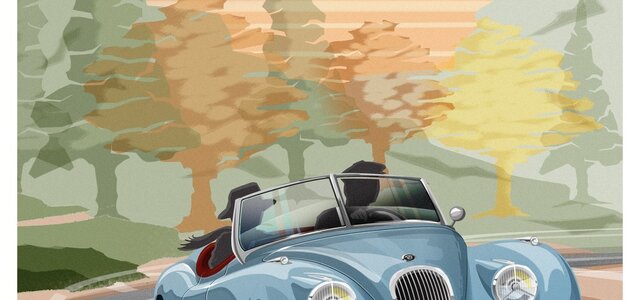 passeio_dos_ingleses__1_