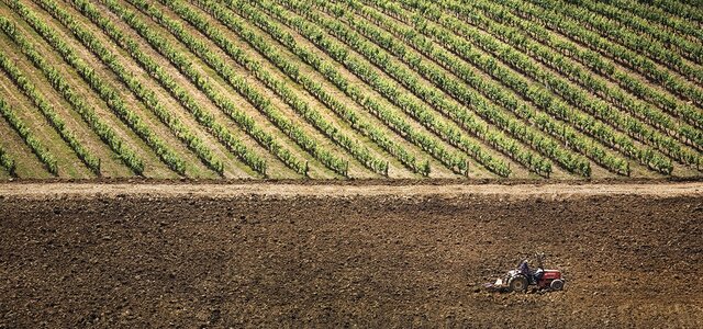 territorio_vinheiro_bairrada