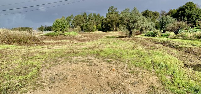 417873046_415949574301935_7705234507769830713_n