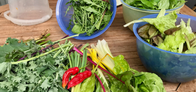 desperdicio_alimentar