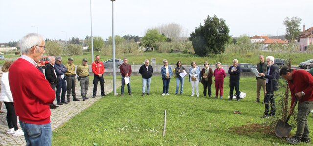 usc_dia_poesia_e_florestas