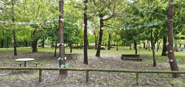 81c1f442_6f0e_44d2_9172_c470f0733db2