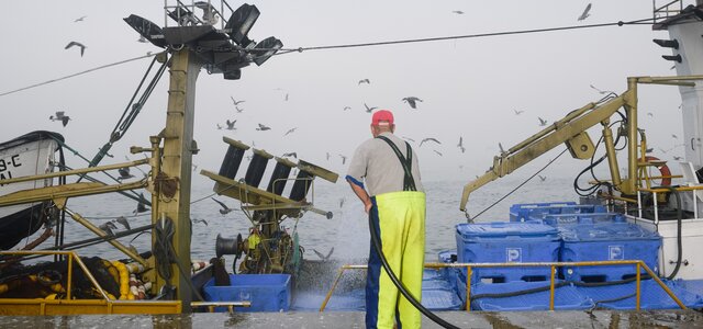 drii_foto_nelson_d_aires