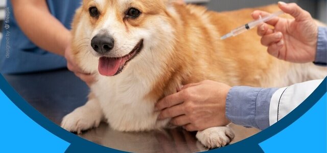 vacinacao_antirrabica_2024