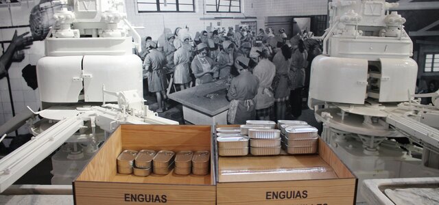 444923913_868176982003518_1847351036595058766_n