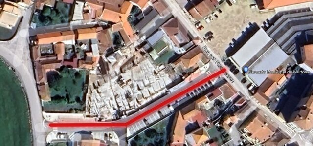 448595499_876050861216130_715670382312584339_n