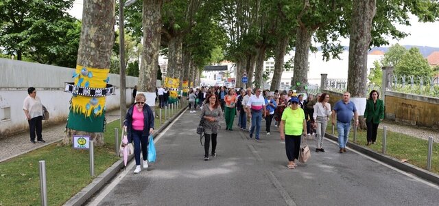 social_abraca_anadia1