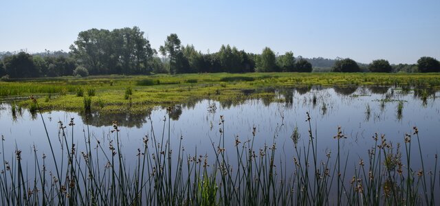 aprovacao_da_lei_do_restauro_da_natureza