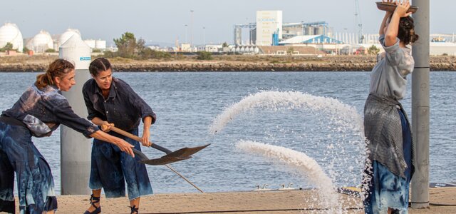 img_8877_aprimorado_nr