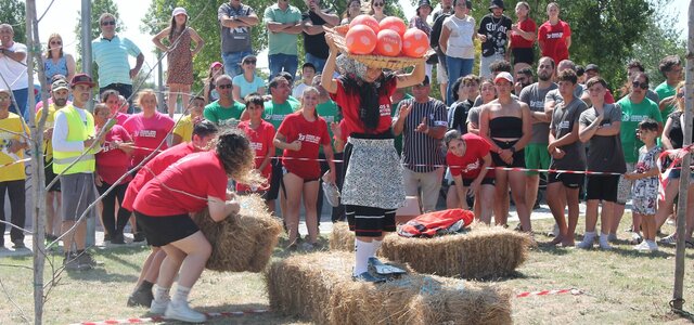 438174362_882816717206211_5476985616345913074_n