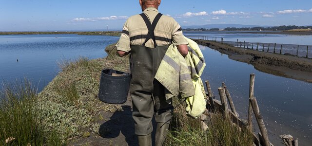 13_jul_derivas_4_goncalo_mota