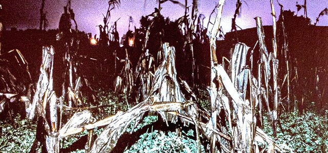 admiravel_foto_cred_sem_titulo__serie_mundo_novo__nosophorus____beatriz_neto__pormenor_com_interv...