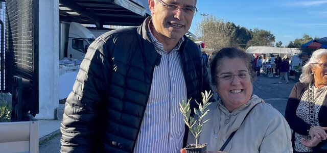 distribuicao_de_oliveiras