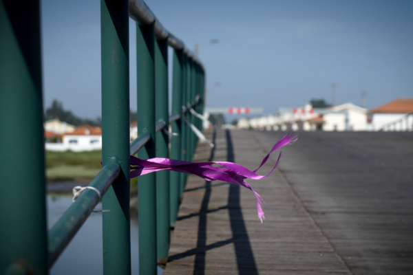 ponte_da_vista_alegre