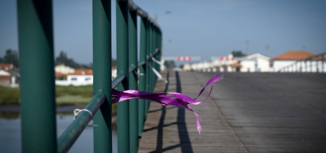 ponte_da_vista_alegre