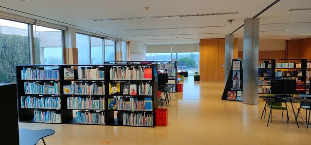 bma_sala_infanto_juvenil