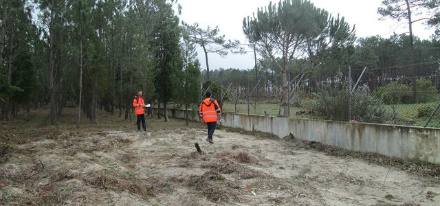 foto_principal_de_destaque