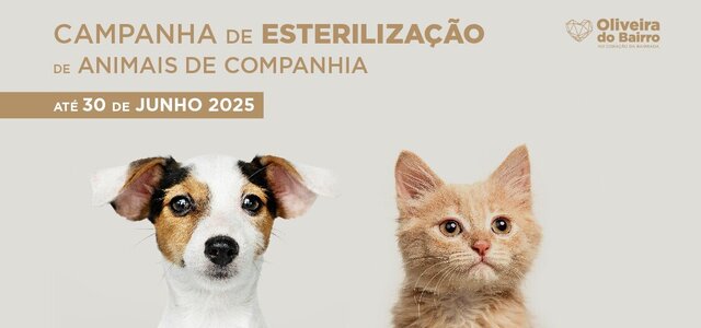 esterilizacao_2025_02__1_